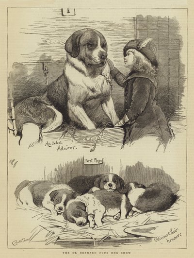 The St Bernard Club Dog Show by Charles Burton